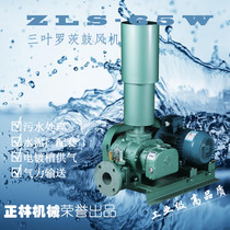 Zhenglin ZLS-65W three-leaf roots blower Sewage treatment aerator electroplating tank aerator