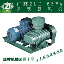 Zhenglin ZLE-65WA type two-leaf horizontal roots fan