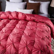 2022 new down duvet quilted by large red wedding Thickened Winter Quilted Duck Suede Bedding Winter Warm Double Quilt Core