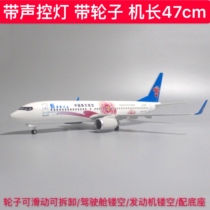 47cm Belt with wheel with lamp Nanhang Henan No. Lottery painted Boeing 737-800 aircraft model emulated passenger jet model