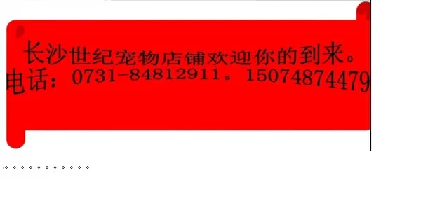 Thức ăn cho chó số lượng lớn giá rẻ thức ăn cho chó giá rẻ thức ăn cho chó trang trại mở và bán 500 gram 5 nhân dân tệ trái cây và rau quả tươi + rong biển - Gói Singular