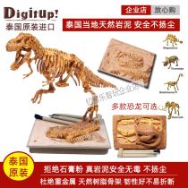 Thai dinosaur fossil archaeological excavation toy children T-rex skeleton handmade DIY assembly simulation model