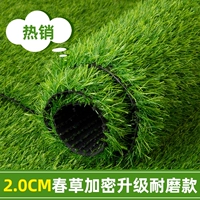 Обновленная износостойкая модель с шифрованием весенней травы толщиной 2 см [горячая распродажа/двухслойная изоляция]