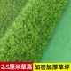 2,5 см зашифрованной густой газон (2*25) 50 квадратных метров