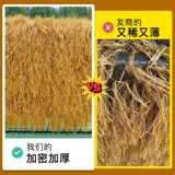 Смоделированная солочья крыша искусственная фальшивая соломенная живописная зона.