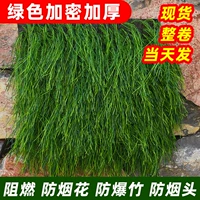 Зеленое шифрование и толстые водонепроницаемые модели (несколько метров шириной в несколько метров в 1 метре)