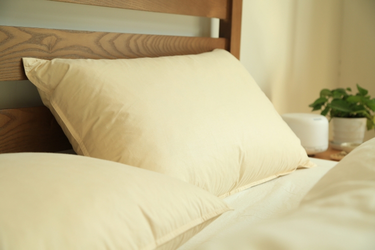 Muji Nhật Bản siêu mịn gối lông vũ Gối bông len chim nước gối lông vũ phục hồi thấp Chăm sóc Gối - Gối gối văn phòng