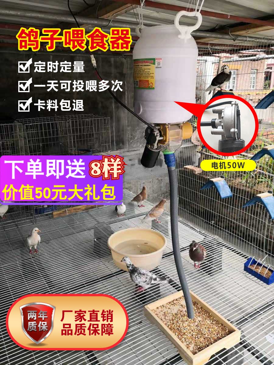 Pigeon supplies Automatic feeder Timing quantitative feeder Feeder Carrier pigeon Ornamental pigeon Chicken Duck goose Dog fish cat