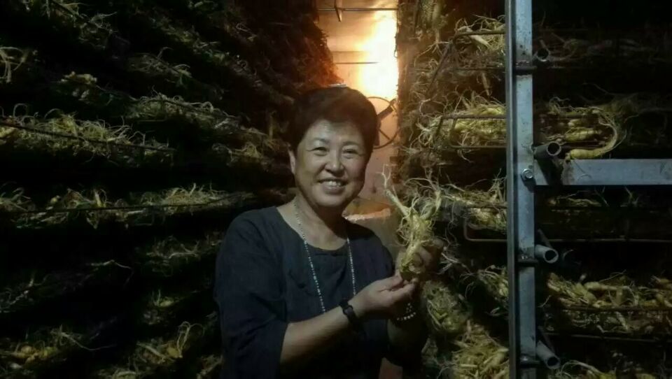 (Easy-going selection)American Ginseng Citi Ginseng segment cut lozenges 40g four-year soft medium tablets