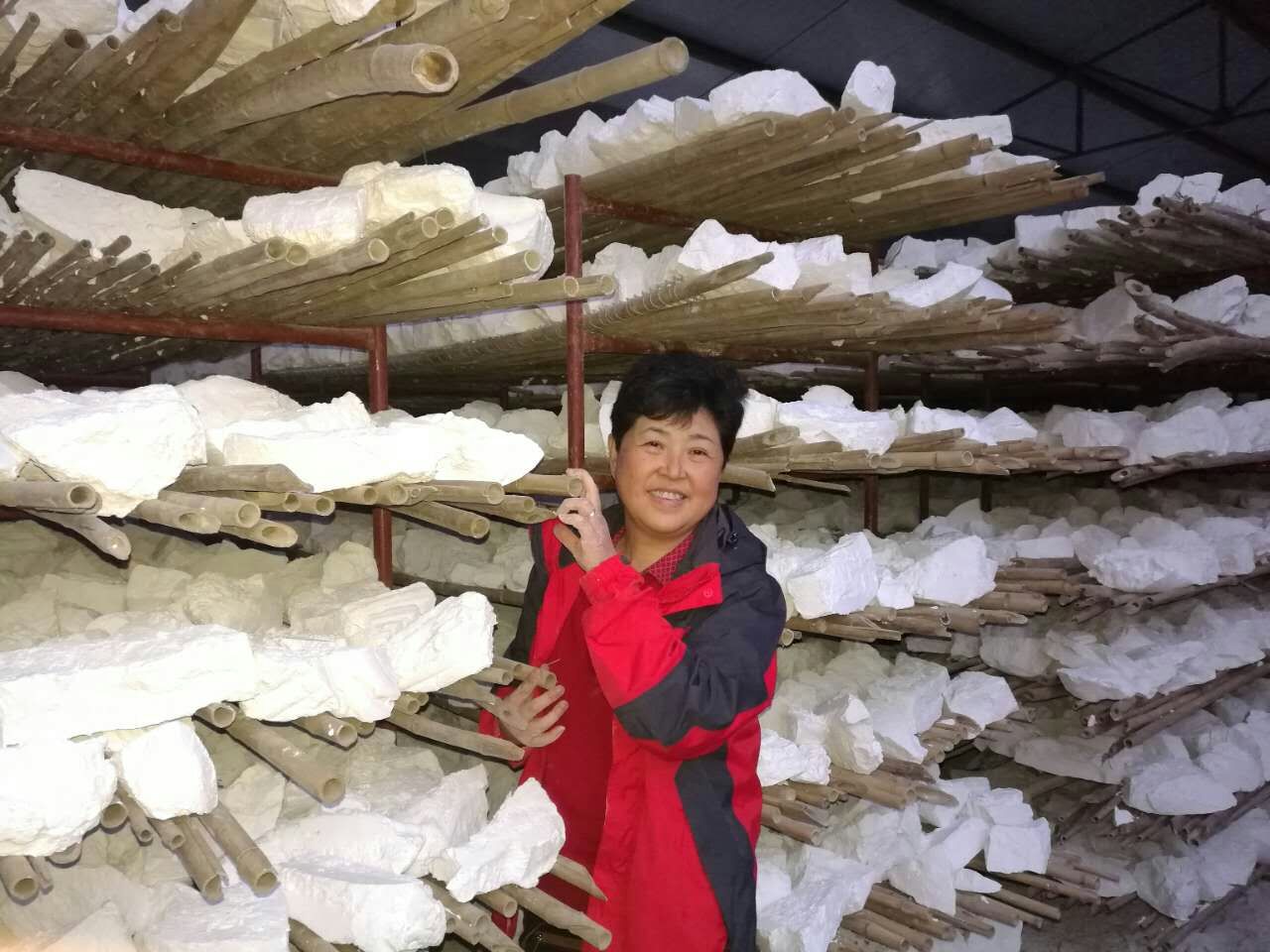 (with and selected) Longkou sweet potato fine powder 200 gr