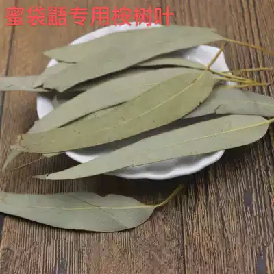 mi dai wu dedicated eucalyptus leaves
