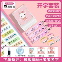 Модернизированный крупномасштабный набор из розовой школы (замечания)