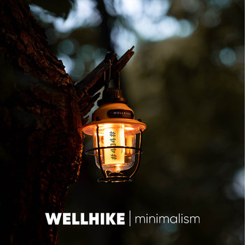 Wellhike outdoor camping lock pinecone lamp 40h long battery life portable camp atmosphere lighting mini lamp