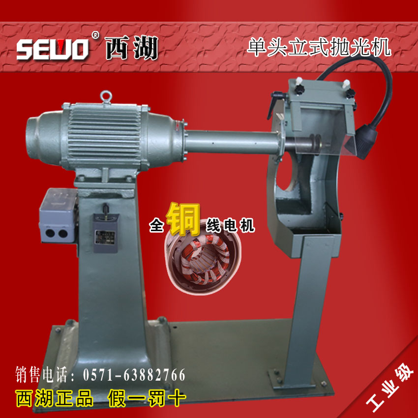 Factory direct sales multi-function 2KW West Lake brand floor-standing vertical polishing machine with extended shaft with lamp dust cover MP3035