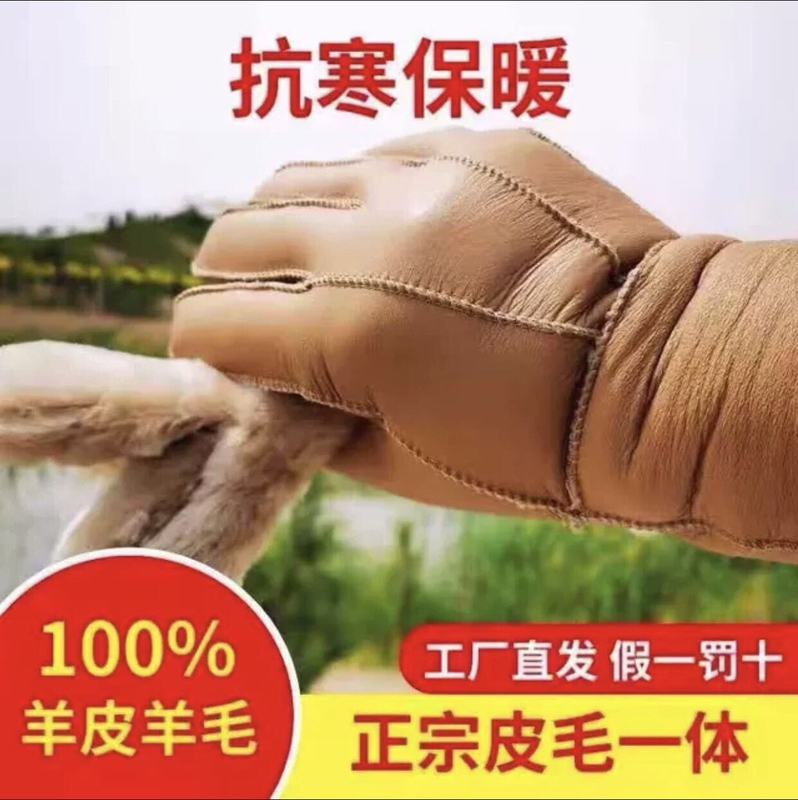 Winter Genuine Sheepskin Gloves, Cold-Proof, Waterproof, for Cycling, Fleece-Lined, Thickened, Long Style, Finger-Separated, Pure Sheepskin, Warm and Windproof