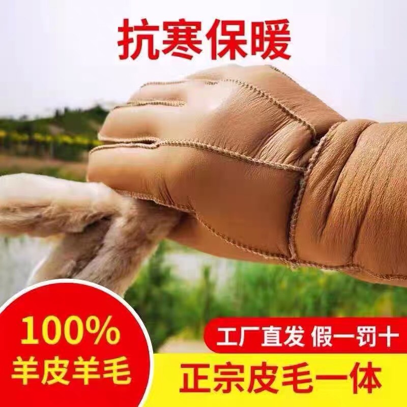 Winter Genuine Sheepskin Gloves, Cold-Proof and Waterproof, for Cycling, Fleece-Lined, Thickened, Long Style, Finger-Separated, Pure Sheepskin, Warm, for Men and Women Winter Genuine Sheepskin Gloves, Cold-Proof and Waterproof, for Cycling, Fleece-Lined, Thickened, Long Style, Finger-Separated, Pure Sheepskin, Warm, for Men and Women