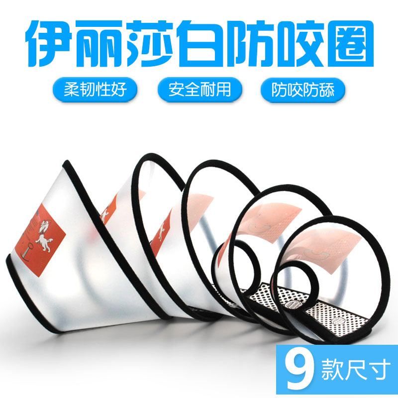 Elizabeth ring cat dog collar cat collar cat collar collar collar collar collar