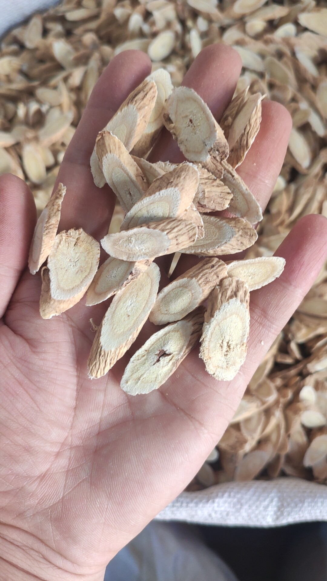 中药材花草茶批零