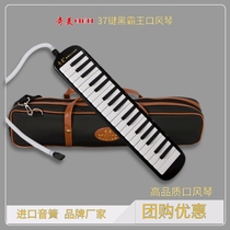 Chimei Black Overlord Orgue buccal 37 touches 32 touches Étudiants débutants Apprentissage adulte Performance professionnelle Orgue buccal