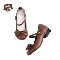 Коричневый низкий каблук [матовая]