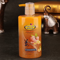 Piano leaf ginger shampoo hairdressshop special washing hair anti-hair loss hair anti-hair genders universal soft smooth