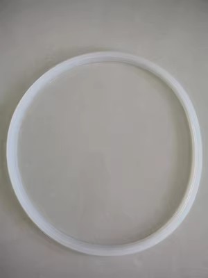 江阴滨江LS-50LD型立式压力蒸汽灭菌器高压消毒锅配件密封圈垫