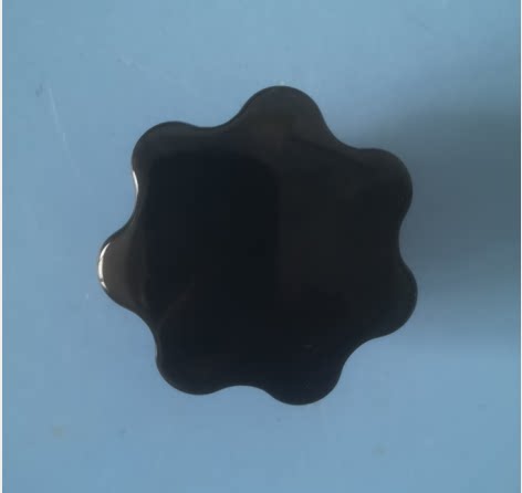 上海博迅手提式立式30R压力蒸汽灭菌器锅紧固螺帽配件