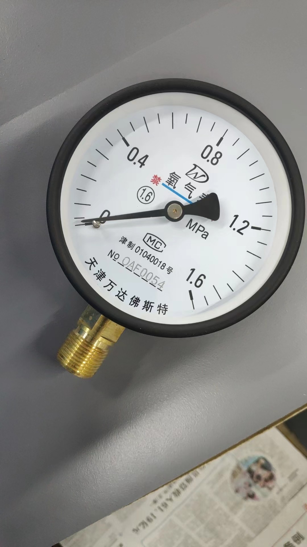天津万达佛斯特仪表氧压力表0-1.6Mpa径向Y100氧气表
