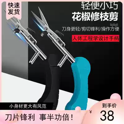 Pepper scissors horticultural scissors light riding small picker pruning shears stainless steel fruit flower and wood scissors Special