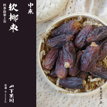 Yamashia Orchard Middle East Desert Special Small Soft Date Gold Date Natural Sugar
