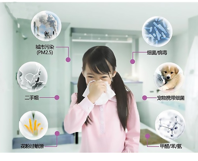 喜艾常春藤虎皮兰带盆栽好绿植小盆栽花卉室内