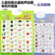 Biểu đồ âm thanh của trẻ em biểu đồ tường nhận thức va chạm xóa mù chữ bé đồ chơi trẻ em giọng nói giác ngộ học tập giáo dục sớm - Đồ chơi giáo dục sớm / robot cửa hàng đồ chơi