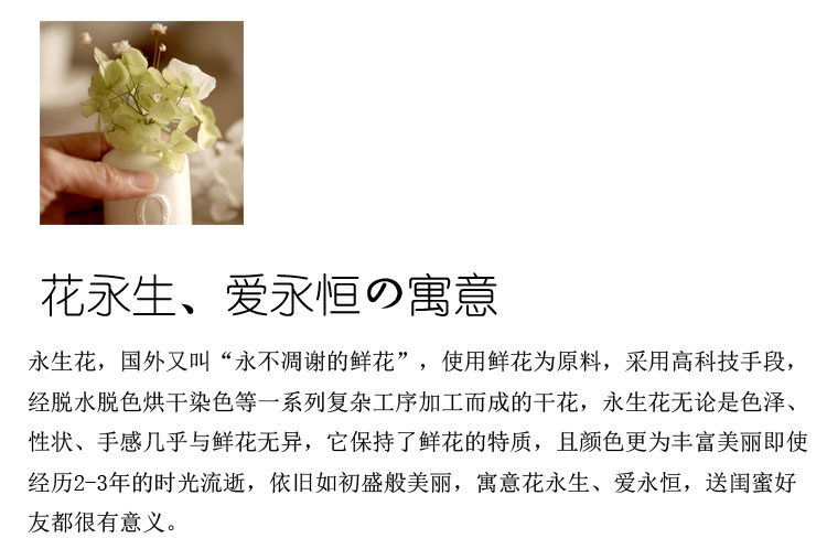 Connecteur pour téléphone portable - Ref 319550 Image 6