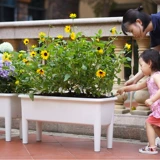 Прямоугольный пластик Новый высокопоставленное растительное бассейн Специальное посадочное артефакт.