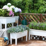 Прямоугольный пластик Новый высокопоставленное растительное бассейн Специальное посадочное артефакт.