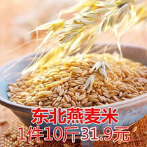 2020 new oatmeal Oatmeal Oatmeal Oatmeal oat kernels wild wheat farm produce coarse grains 5KG10kg