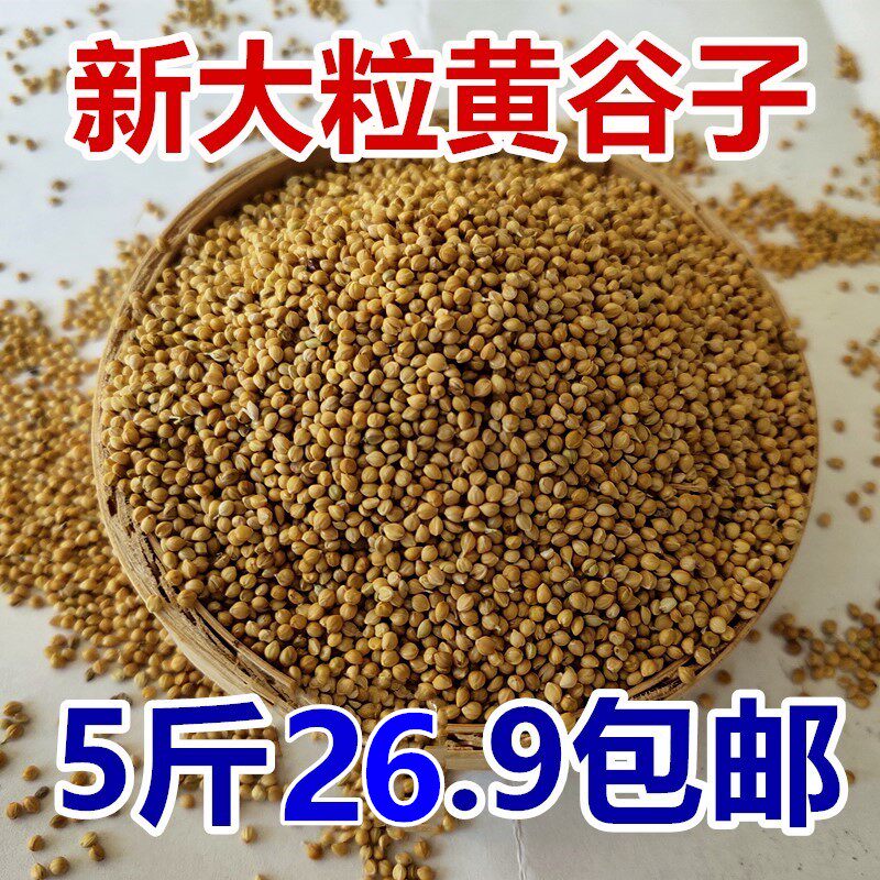 New shelled high-quality millet yellow millet parrot feed small and medium-sized bird tiger skin peony Xuanfeng bird food