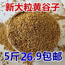 New shell high-quality millet yellow millet parrot feed small and medium-sized bird tiger skin peony Xuanfeng bird grain