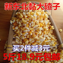 2020 sticky corn ballast big sticky ballast northeast sticky yellow corn ballast farm corn residue 5kg
