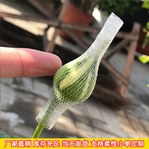 Rose protection net cover Seasonal flower bud set net Brush hair ball packaging plastic net Bud shaping set