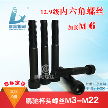 12 9 grade inner hexagonal screw plus hard imported Peng Chi EG screw plus hard cup head screws M6 * 100-200