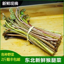 Shunfeng 2 catty vegetables Fresh Monkey Leg Dish 1 catty Northeast Teryield Mountain Wild Vegetable Fern