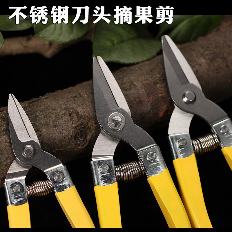 Stainless steel cutter head fruit shears new fruit shears citrus shears fruits and vegetables shears medium fruit scissors round head fruit shears
