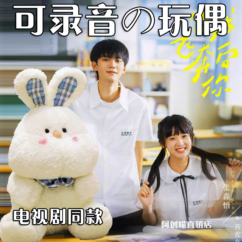 When I Run to You, I Bring You the Same Type of Recordable Plush Toy, a Popular Internet Celebrity Doll, a Plush Toy, a New Year's Gift