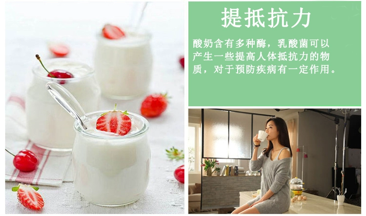 Dihe thép không gỉ lót sữa chua máy tự động nhà máy sữa chua gạo rượu vang Natto máy lên men nhỏ - Sản xuất sữa chua