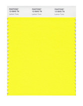 PANTONE SWATCH CARD NYLON COLOR PASS TEXTILE COLOR CARD 12-0645TN NYLON FLUORESCENT COLOR