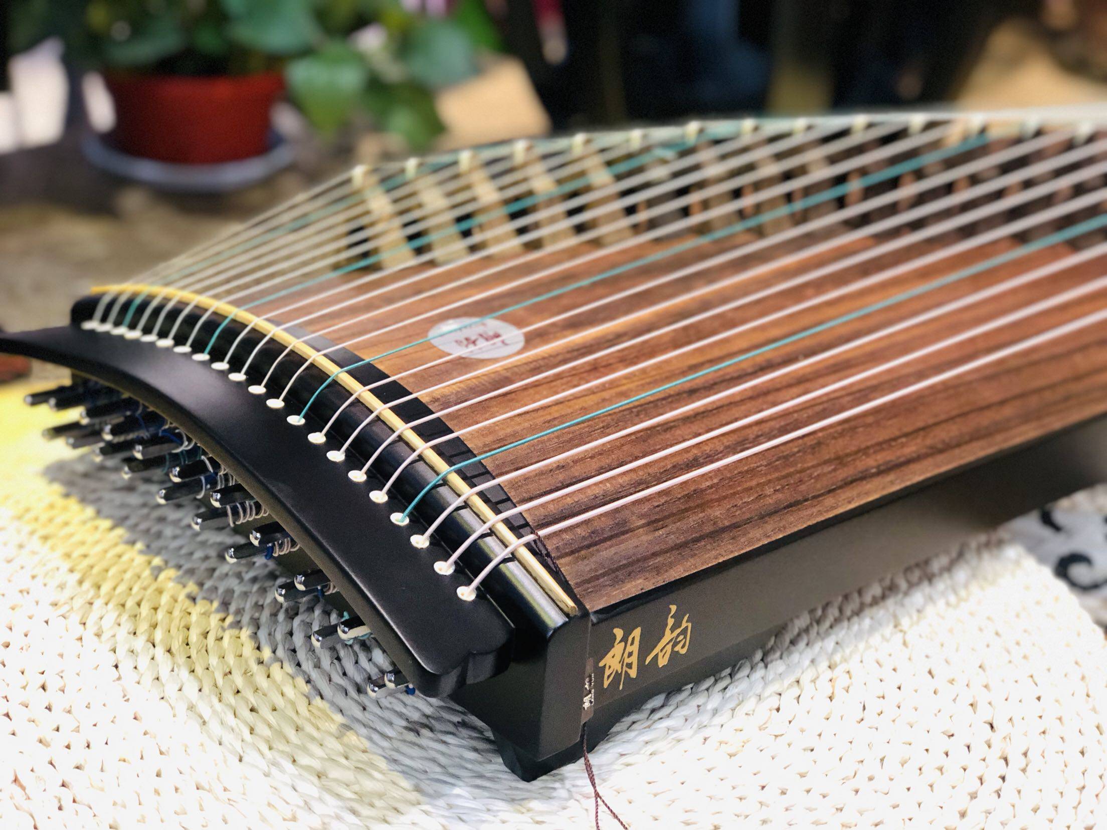 Lang Yun Linglong 21 String 98CM Portable Mini Guzheng Adult Children's Introduction Professional Guzheng