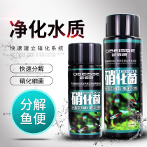 ?Nitrifying bacteria Nitrifying bacteria Digestive bacteria Fish tank Aquarium water purifying agent Fish farming supplies Water quality stabilizer