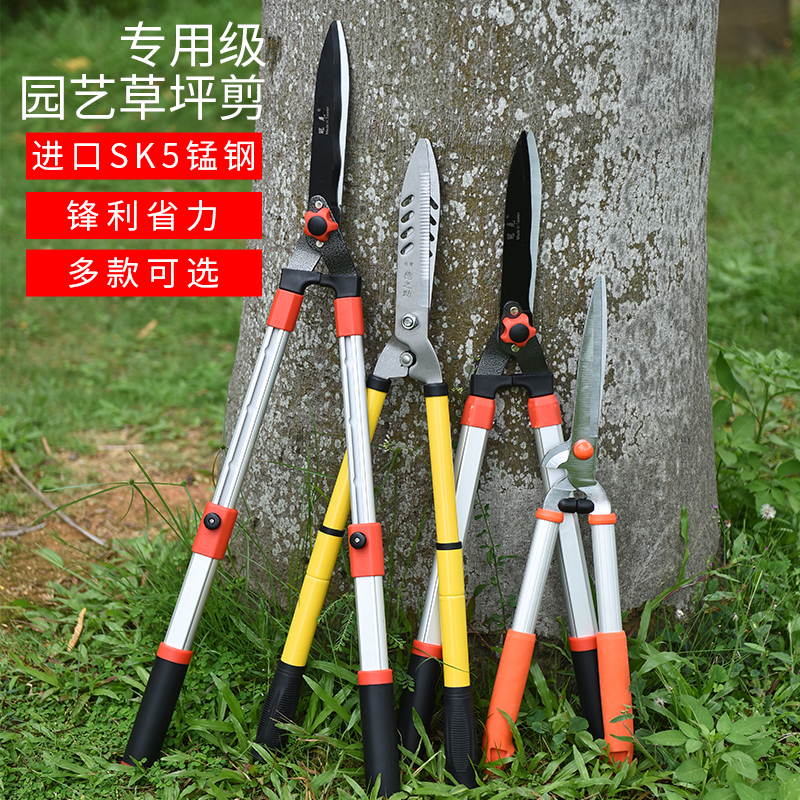 Hedge lawn cutting gardening scissors tool lawn pruning pruning pruning pruning pruning pruning grass branches and tree scissors