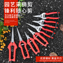 Fruit scissors grape scissors fruit scissors fruit scissors gardening branches fruit trees flower branches